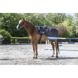 equitheme-tyrex-600-d-nierendecke (1)